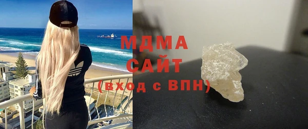 индика Алексин