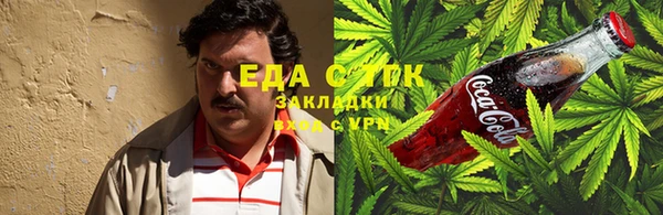 индика Алексин