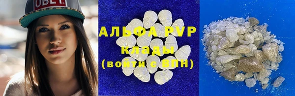 индика Алексин