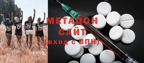 индика Алексин