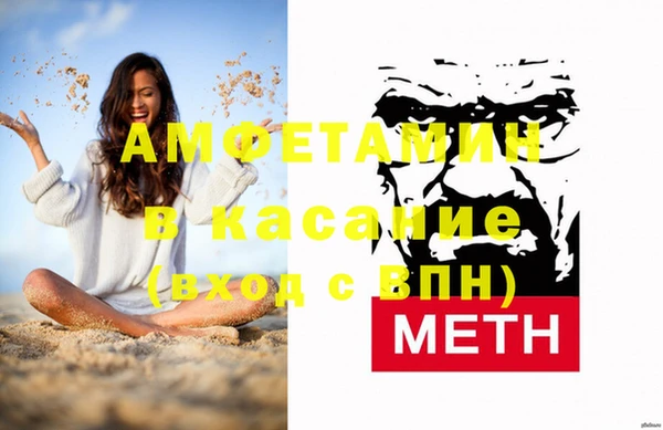 индика Алексин